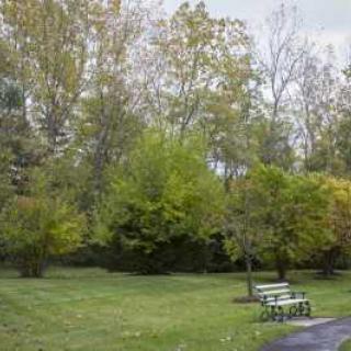 A tranquil park scene with benches surrounded by lush greenery and trees in early autumn.