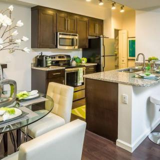 Modern kitchen and dining area with stylish decor in an apartment.