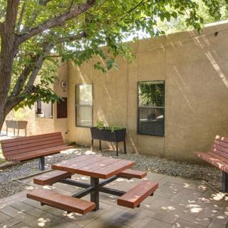 A tranquil courtyard with a picnic table and benches shaded by a large tree.