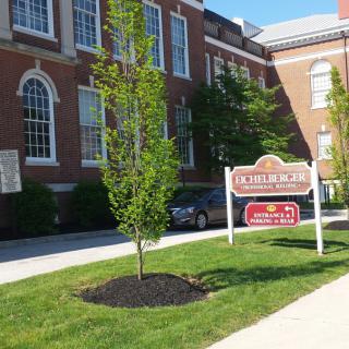 A brick building with a lawn, tree, and sidewalk next to a sign and parked car.
