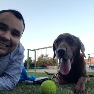 A man enjoying a sunny day at the park with his happy dog.