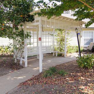 A white pergola covering a walkway surrounded by greenery in a garden setting.