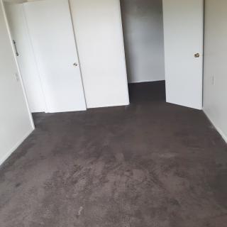 An empty room with a carpeted floor and white walls, featuring two open doors.