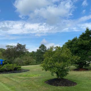 A scenic view of a grassy landscape with trees and a partly cloudy sky.