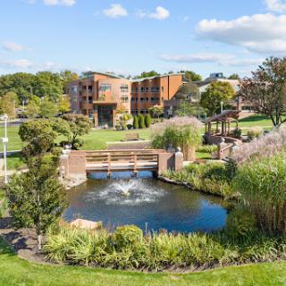 A serene park featuring a pond with a fountain, surrounded by lush greenery and modern buildings.