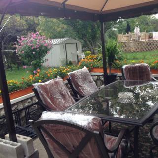 A cozy patio setup with glass-top table and chairs under a gazebo, overlooking a lush garden.