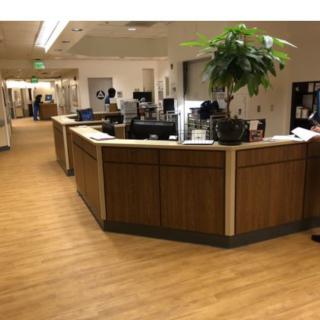 A hospital reception desk area with a plant and office equipment.