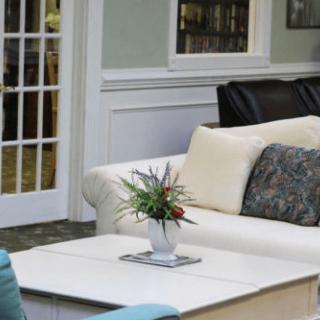 A cozy living room with a sofa, coffee table, and decorative plant.