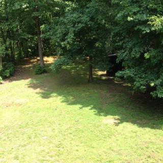 A sunny day in a lush green forest clearing with trees casting shadows on the grass.