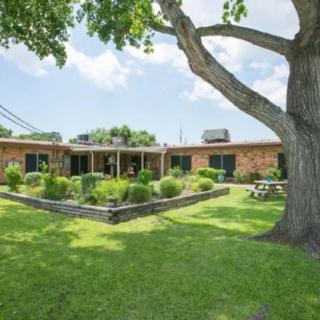 A brick house with a well-maintained garden and large tree in the yard.