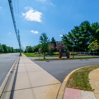 A suburban street with a sidewalk, trees, and a clear blue sky on a sunny day.