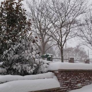 A snowy winter landscape with trees covered in snow.