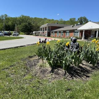A bright sunny day showcasing a well-maintained garden filled with blooming flowers near a building.
