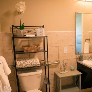 A well-organized bathroom with shelving above the toilet, featuring towels and a plant for decoration.