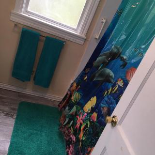 A bathroom featuring an ocean-themed shower curtain, teal towels, and a matching bath mat.