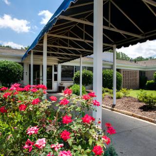 A beautiful view of a building shaded by an awning, surrounded by vibrant pink flowers and lush greenery.