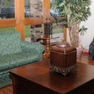 A cozy living room setup featuring a green sofa and a wooden coffee table with decorative pieces.