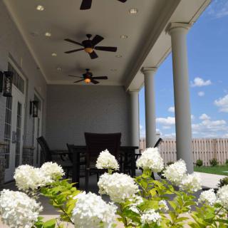A cozy patio with overhead ceiling fans and a view of blooming white flowers against a cloudy sky.