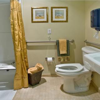 A neatly arranged bathroom featuring a toilet, sink, and shower area with decorative elements.