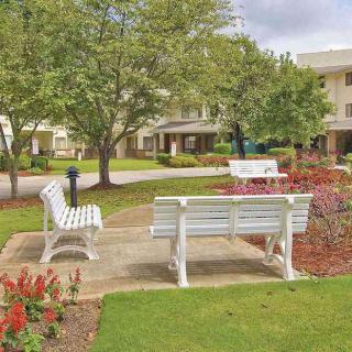 A peaceful park area with benches surrounded by trees and greenery.