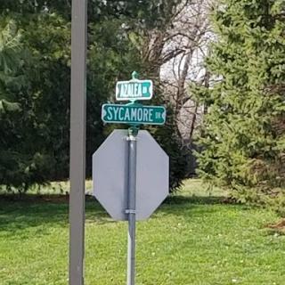 A green street sign indicating the names of two intersecting roads.