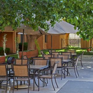 Outdoor patio area with tables and chairs under a tree canopy.