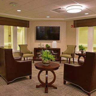 A modern living room with comfortable seating, a large TV, and indoor plants creating a cozy atmosphere.