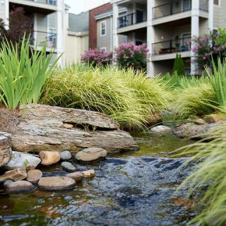 A landscaped pond with rocks and plants in front of an apartment complex.
