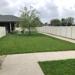 A backyard with a grass lawn, tree, and surrounding fence next to a house under a cloudy sky.