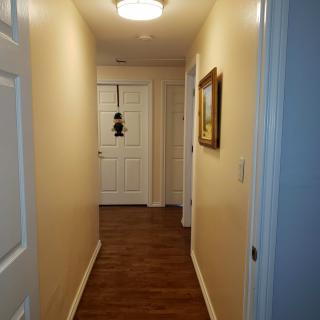 A well-lit hallway with wooden floors and closed doors, featuring a picture frame on the wall.