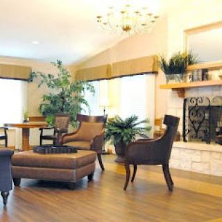 A cozy living room featuring comfortable seating, plants, and a fireplace.