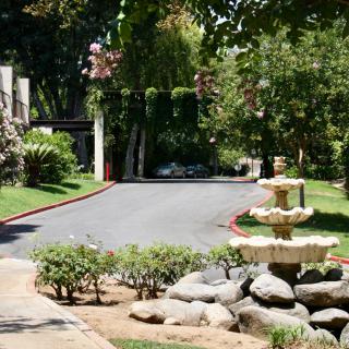 A serene garden with a stone fountain and lush pathway surrounded by greenery.