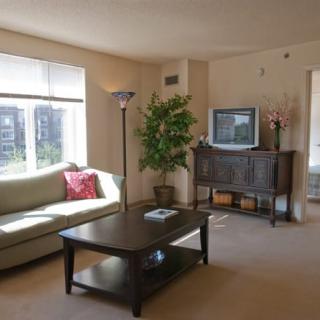 A cozy living room with a sofa, coffee table, TV, and large window providing natural light.
