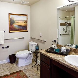 A well-appointed bathroom featuring a shower, toilet, and sink with modern amenities and safety handrails.