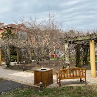 A serene park setting with a bench, trees, and a pergola under a cloudy sky.