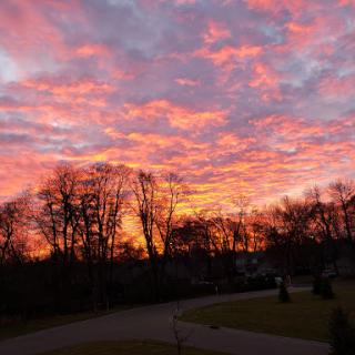 A breathtaking sunset paints the sky in vibrant hues, framed by silhouetted trees.