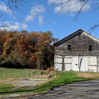 A rustic barn surrounded by colorful autumn foliage.