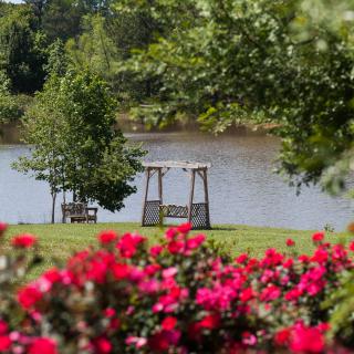 A picturesque park scene featuring vibrant red flowers, swings by the river, and lush greenery.