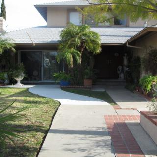 A suburban house with a driveway and garden featuring palm trees.