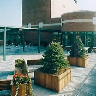 A sunny courtyard featuring wooden planters with greenery, surrounded by modern architecture.