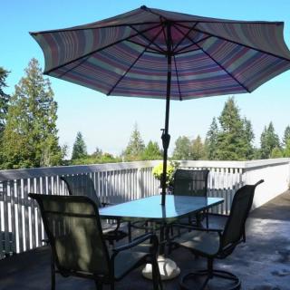 A patio set with an umbrella on a deck overlooking trees.