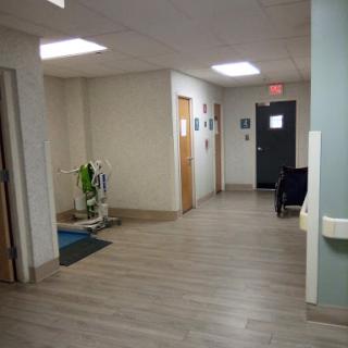 A hallway with doors leading to different rooms, featuring some decorative plants and suitable lighting.