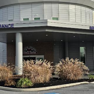 A modern building entrance with landscaped foliage.