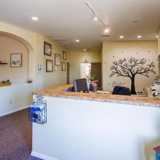 A modern office reception area with a decorative wall mural and desk.