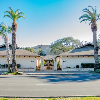 A sunny street view showcasing two residential buildings flanked by tall palm trees.