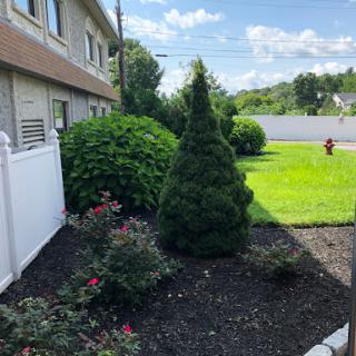 A well-maintained garden featuring a variety of plants and shrubs.