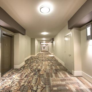 A well-lit hallway with patterned carpet and modern design.
