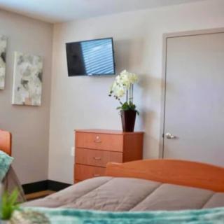 A cozy bedroom with a mounted TV, wooden dresser, and decorative orchid.