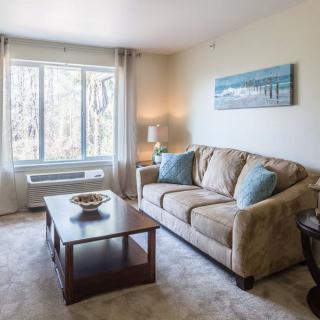 Cozy living room with a sofa, coffee table, and large window letting in natural light.