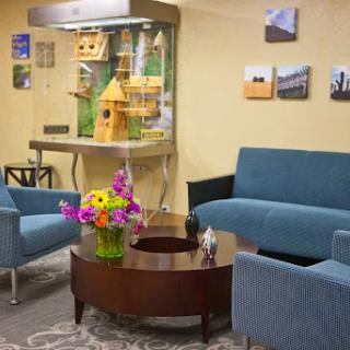 A cozy waiting room featuring comfortable blue sofas, a wooden coffee table adorned with flowers, and a decorative birdcage in the background.